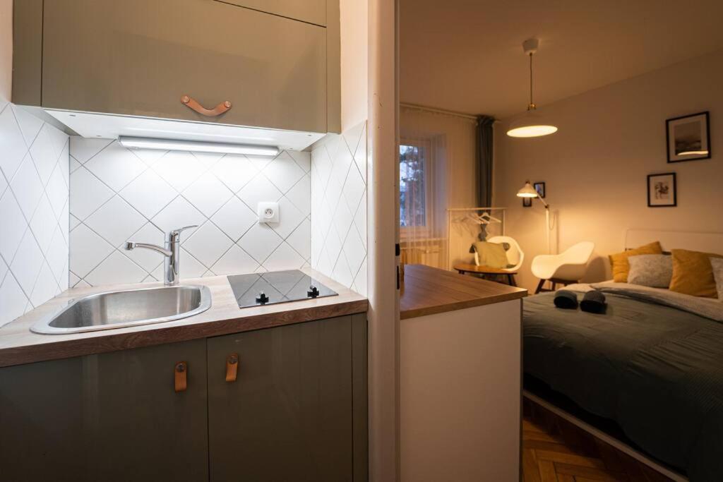 Mini Studio In Masaryk Quarter - Brno Lejlighed Eksteriør billede